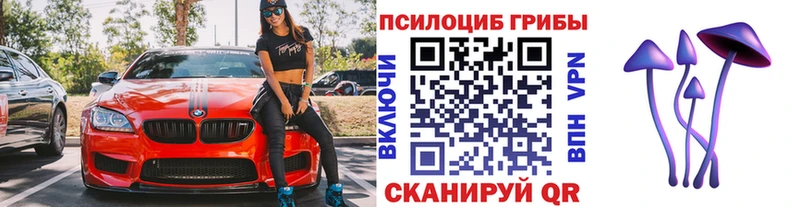 Псилоцибиновые грибы мицелий Сковородино