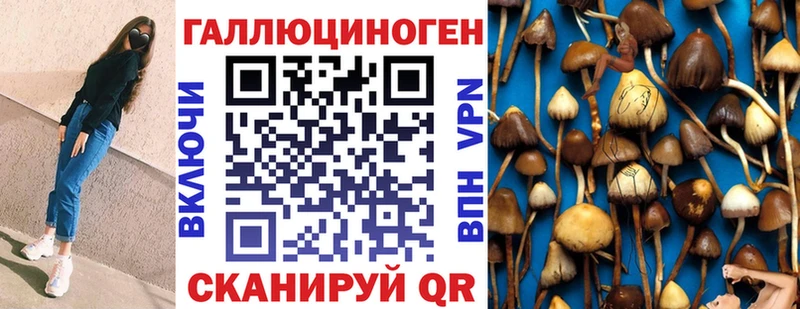 shop как зайти  Сковородино  Псилоцибиновые грибы мухоморы 